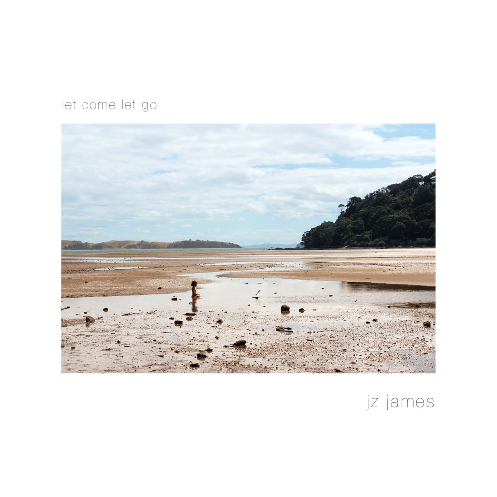 Image of Let Come Let Go (Vinyl 12")