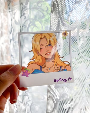 Image of SDV polaroid stickers