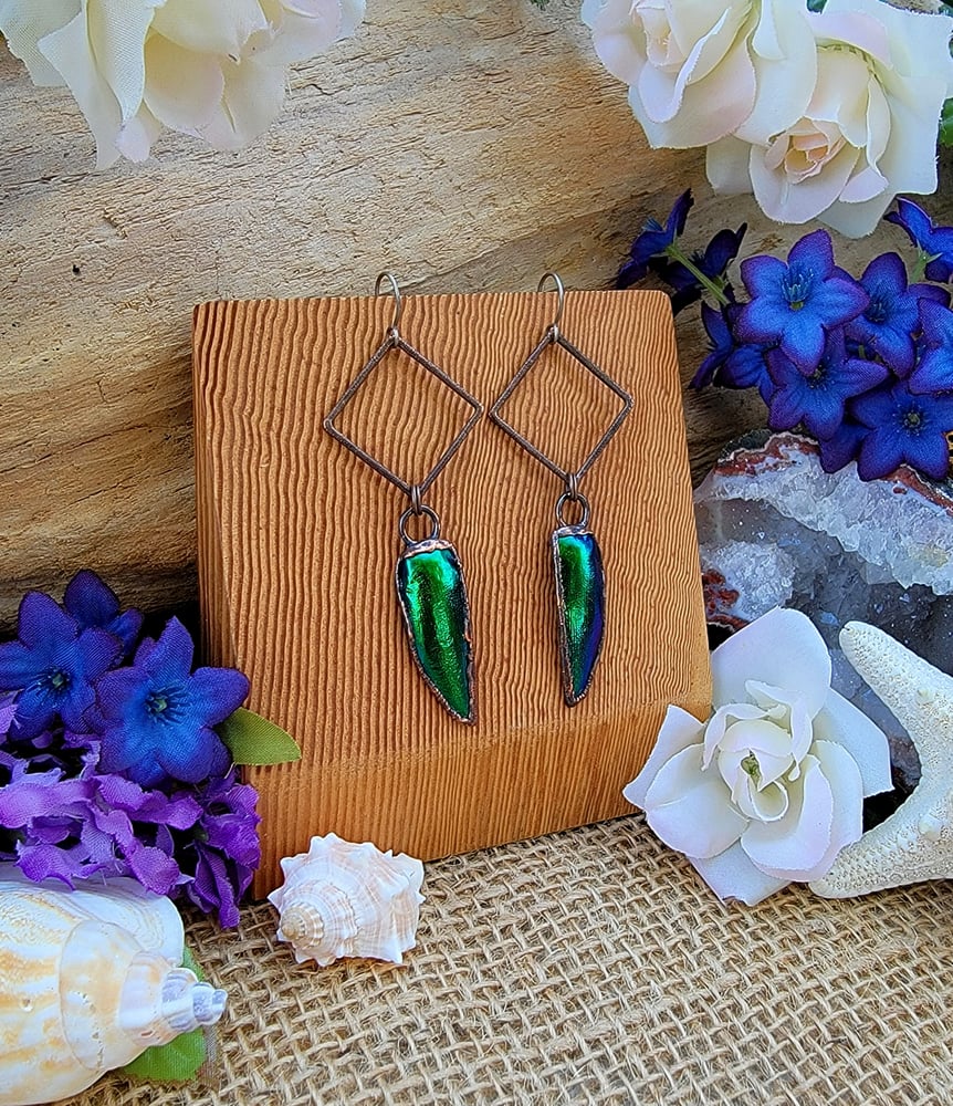 Image of Jewel Beetle Elytra Earrings #1