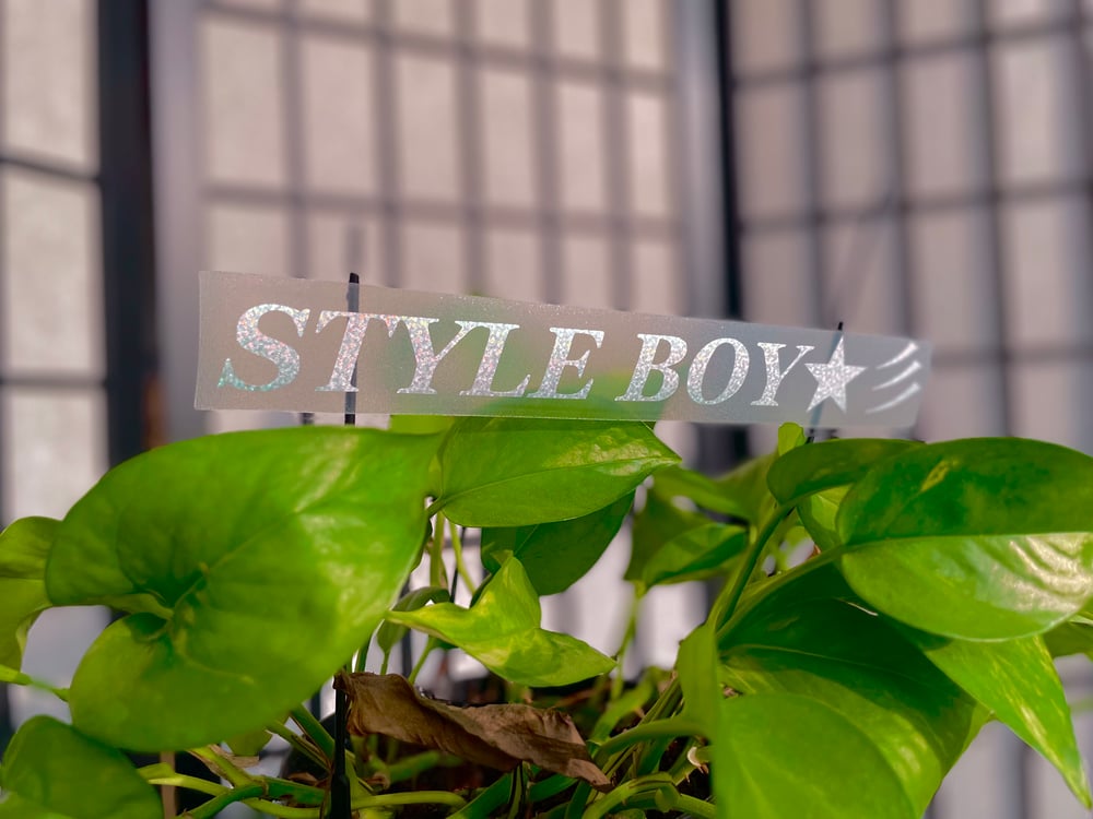 Image of STYLE BOY