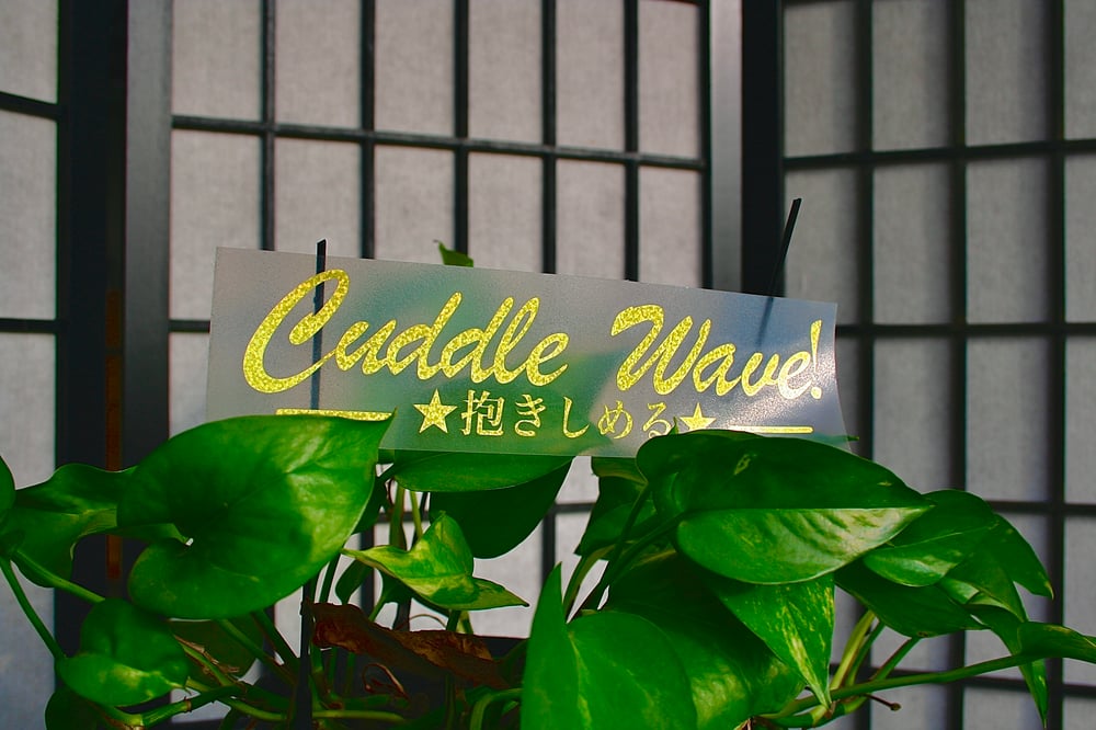 Image of Cuddle Wave!