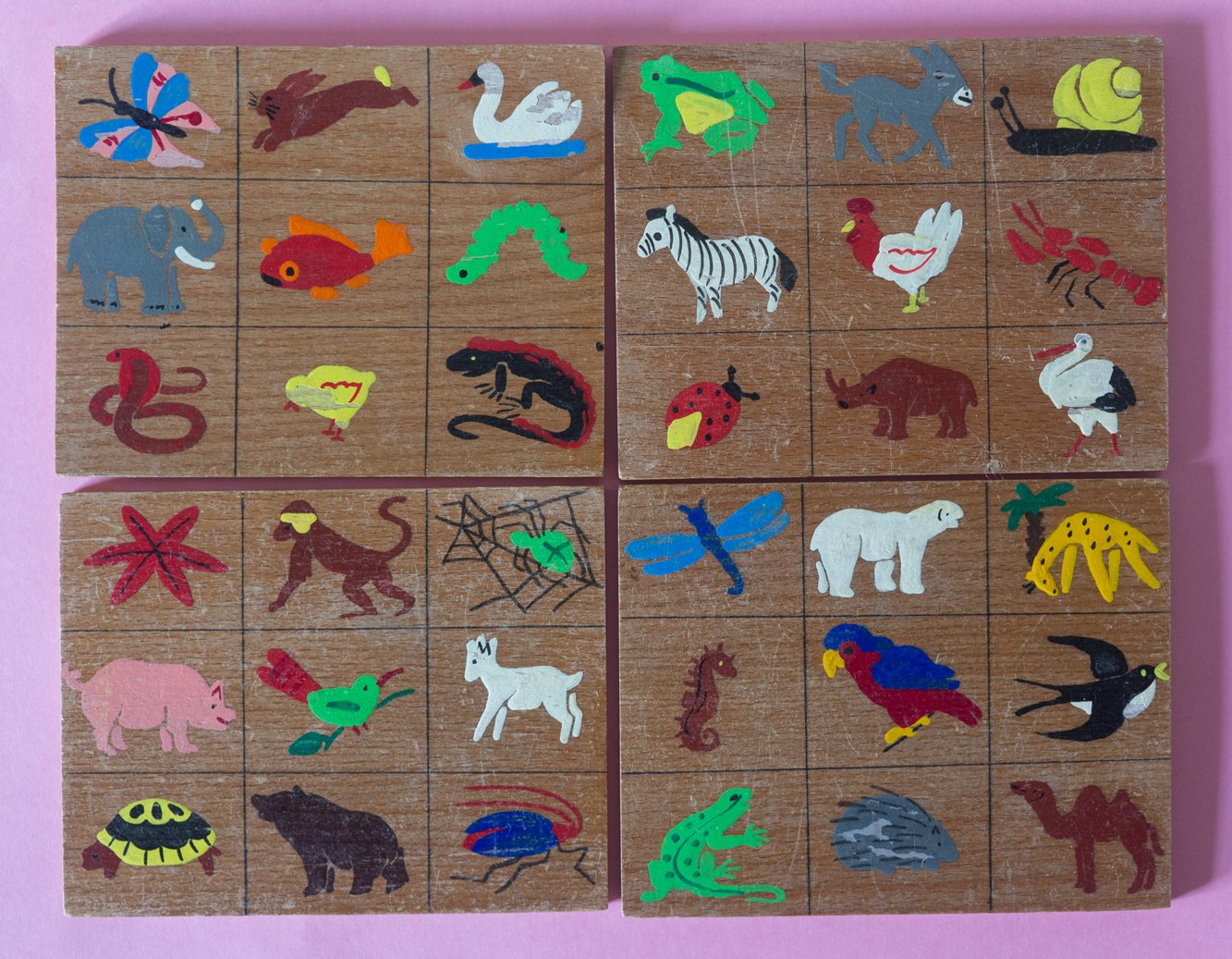 Image of animal bingo