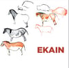 Ekain. La magia de los caballos de la Prehistoria. Aranzadi Bilduma