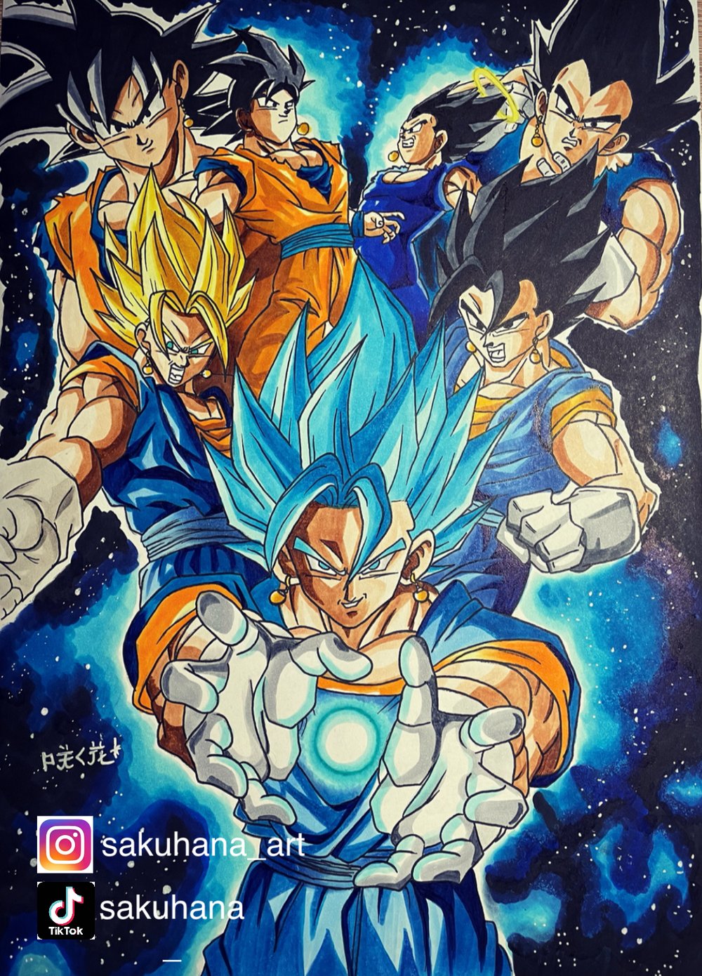 Goku Vegeta Fusion Sakuhana Art