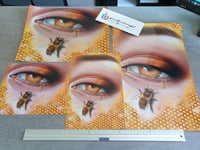 Image 4 of Beeeye & Eye Poster / Prints