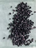 Whole Cochineal Insects