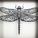 Dragonfly framed papercut
