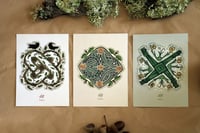 Image 3 of Pack Postcards: 'Celtic Knots II'