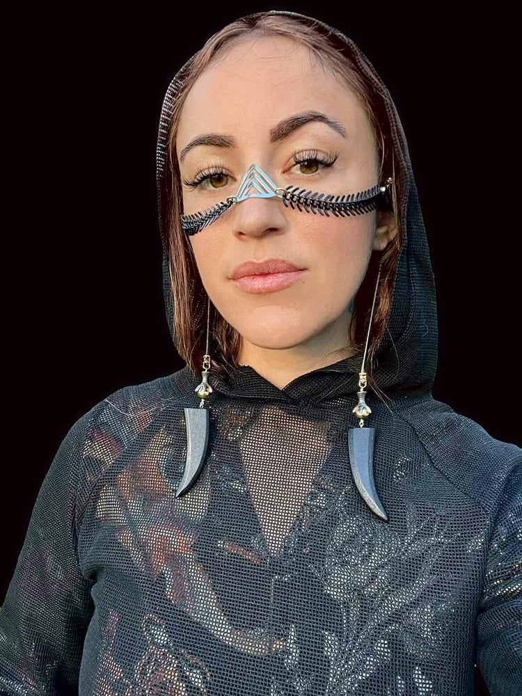 Image of Cyber Viking