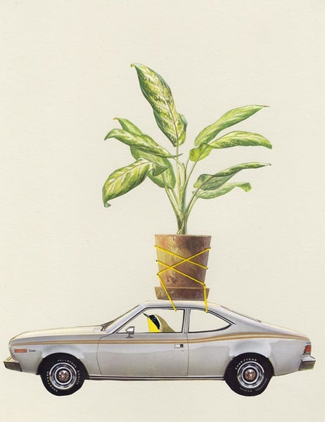 Image of Plant Bandit. Limited edition collage print.