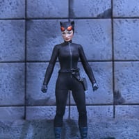 Image 1 of Cat Burglar Classic