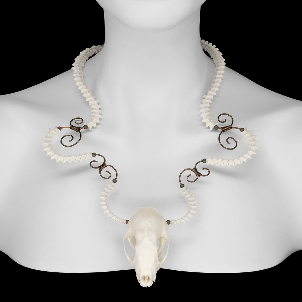 Image of "Ayala" Skunk Skull and Snake Vertebrae Necklace