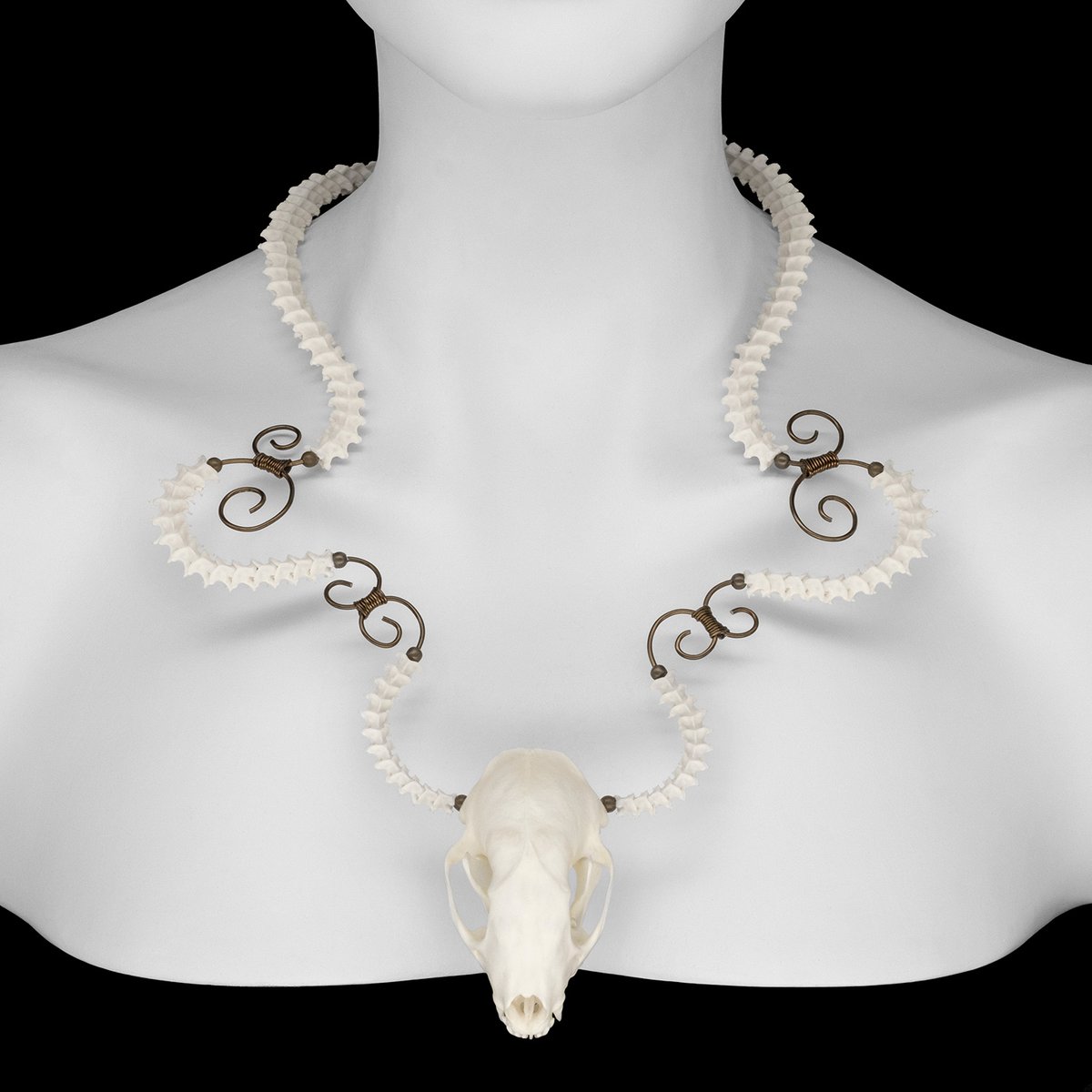 "Ayala" Skunk Skull and Snake Vertebrae Necklace / Ossuaria