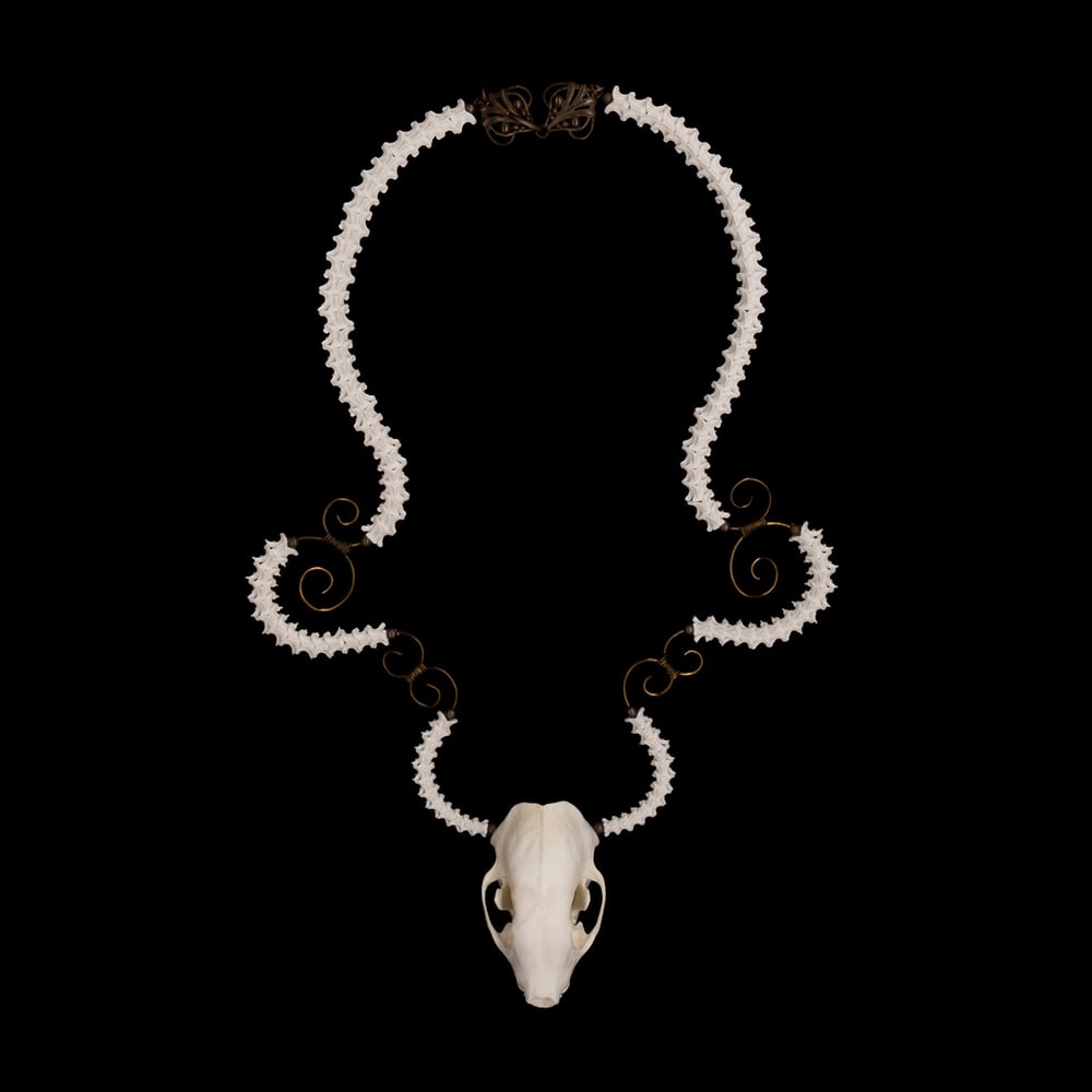 Image of "Ayala" Skunk Skull and Snake Vertebrae Necklace