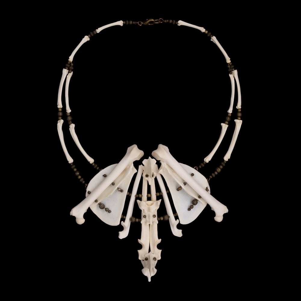 Image of "Shah" Cat Bone Necklace
