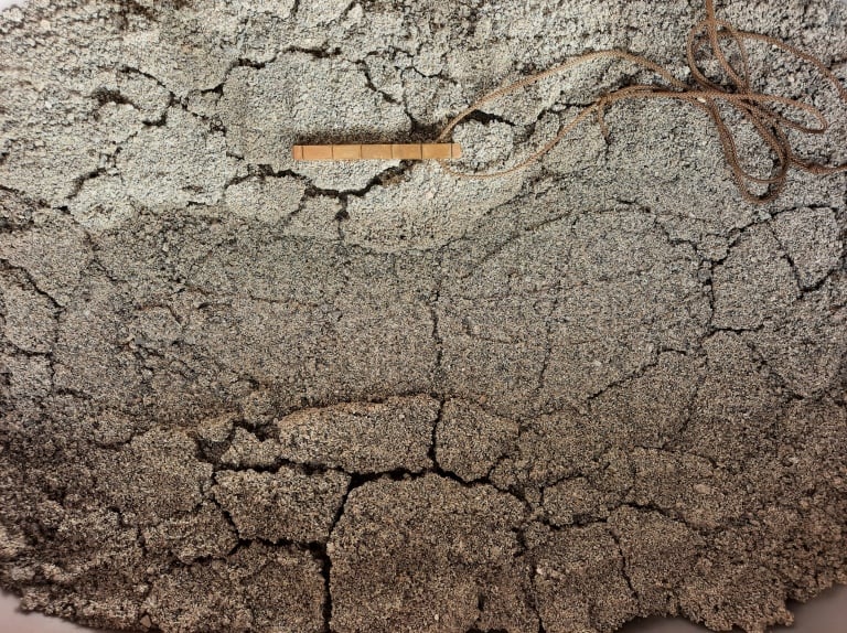 Image of Nupa