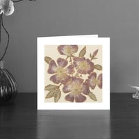 Image 1 of Dog rose art card