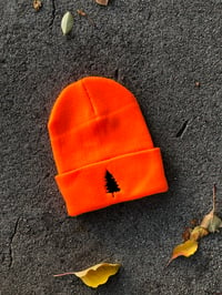 Image 1 of Tree Beanie