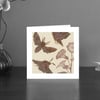 Privet Hawk moth art card
