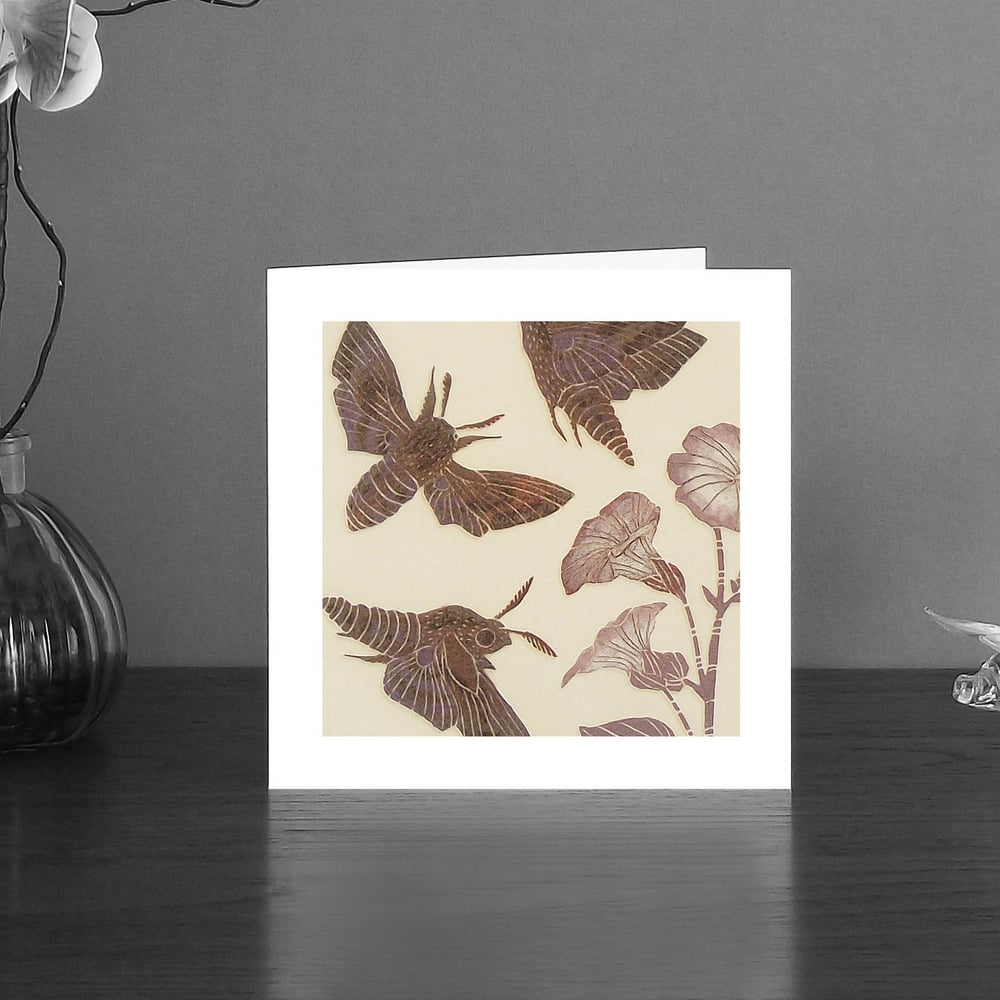 Image of Privet Hawk moth art card