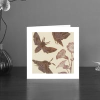 Image 1 of Privet Hawk moth art card