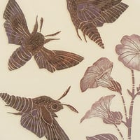 Image 4 of Privet Hawk moth art card