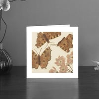 Image 1 of Small Tortoise shell butterflies art card