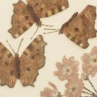 Image 4 of Small Tortoise shell butterflies art card