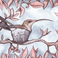 Image 4 of Nested hummingbird art card