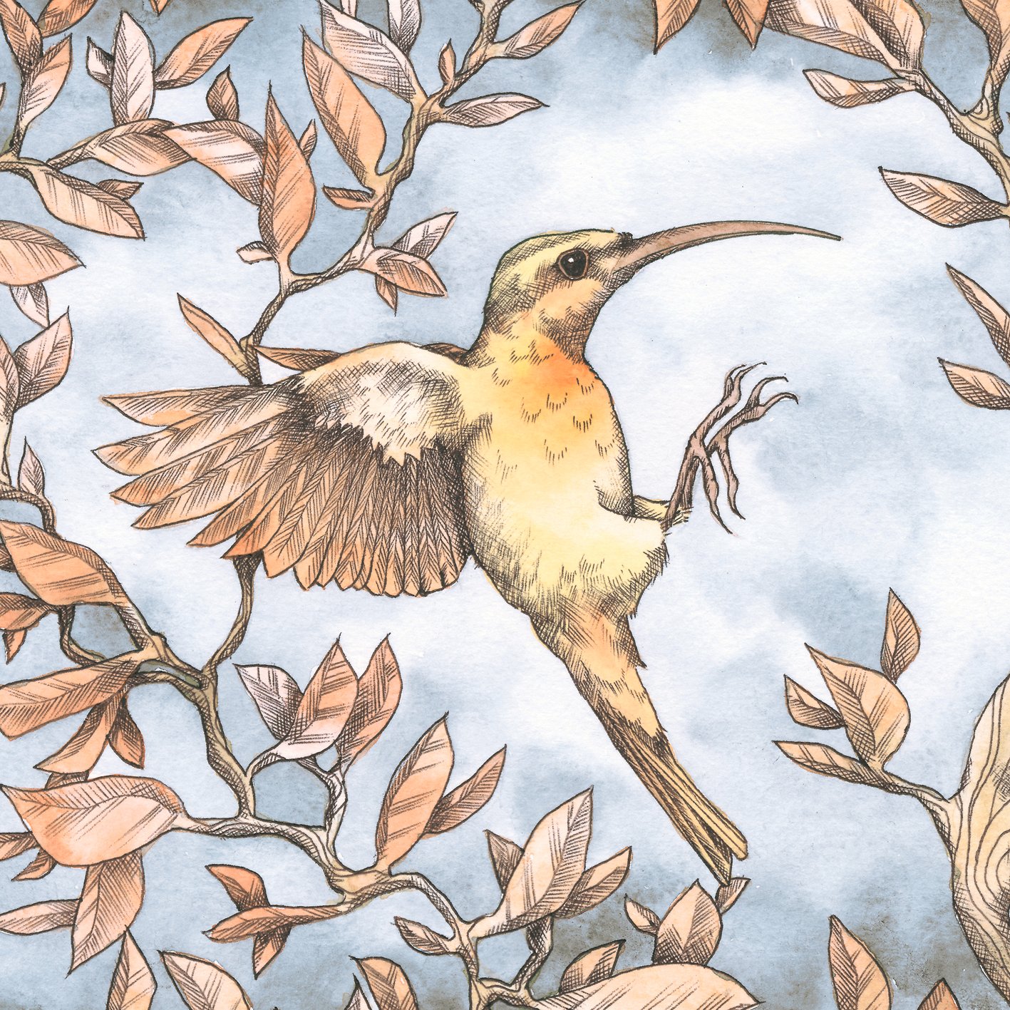 Image of Flying sunbird art card
