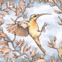 Image 4 of Flying sunbird art card