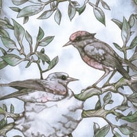 Image 4 of Fairy wrens art card