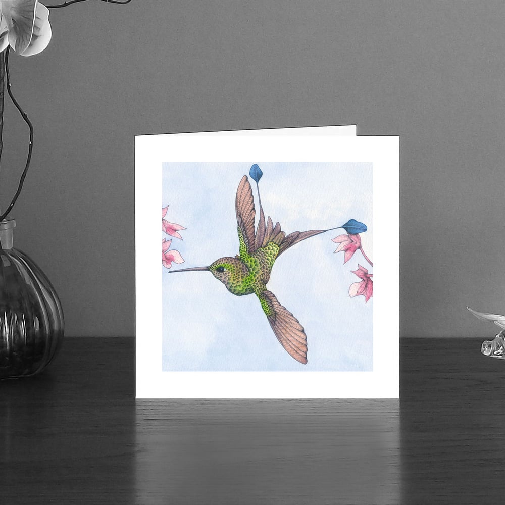 Image of Booted Racket-tail hummingbird art card