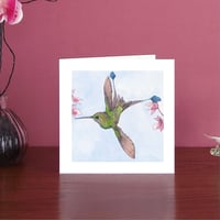 Image 5 of Booted Racket-tail hummingbird art card