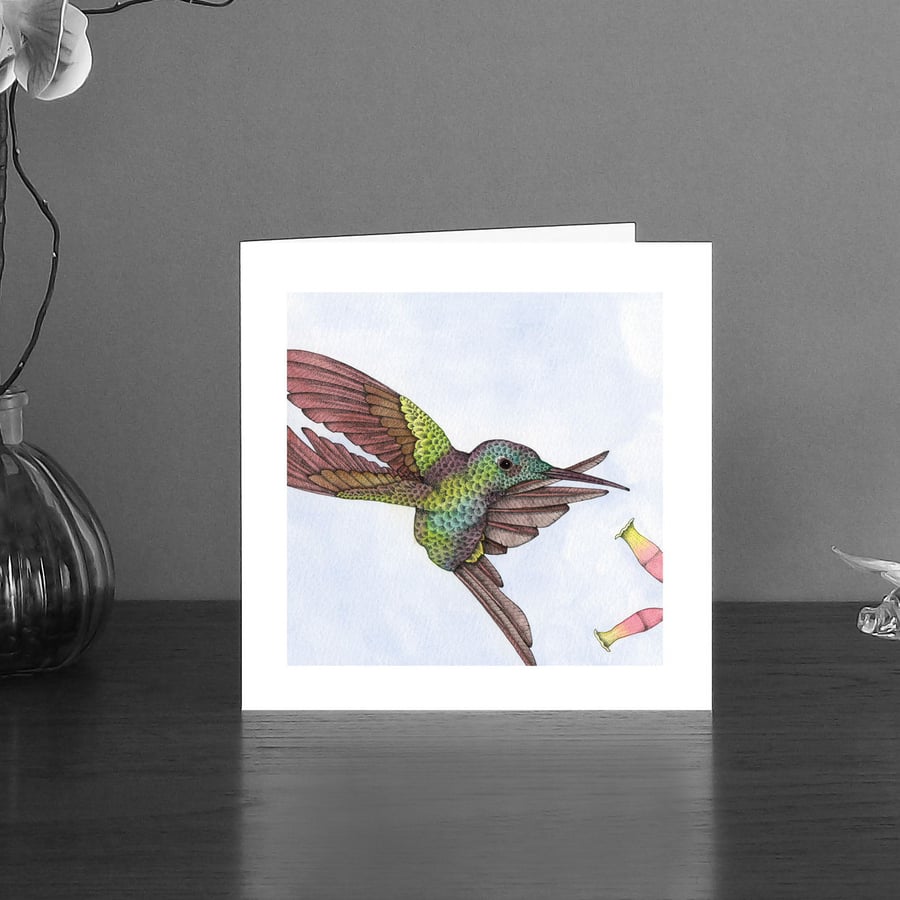 Image of Empress brilliant hummingbird art card