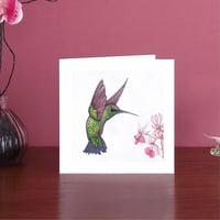 Image 5 of Western emerald hummingbird art card