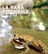 La rana pirenaica. Una reliquia del Pirineo