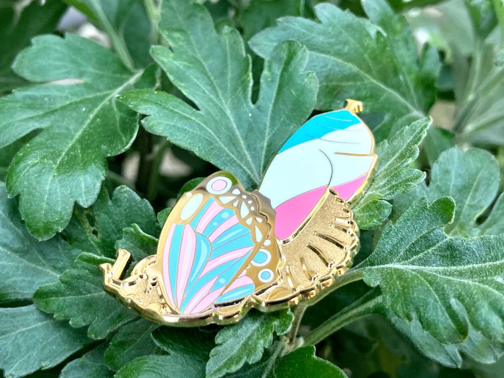 Image of True Metamorphosis