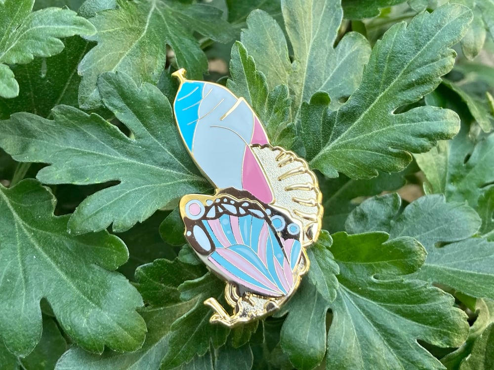 Image of True Metamorphosis