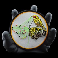 BEAUTIFUL IMPERFECTION / PATCH