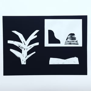 Noir et blanc 1