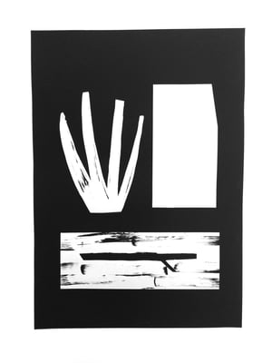 Noir et blanc 2