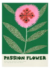 Passion Flower