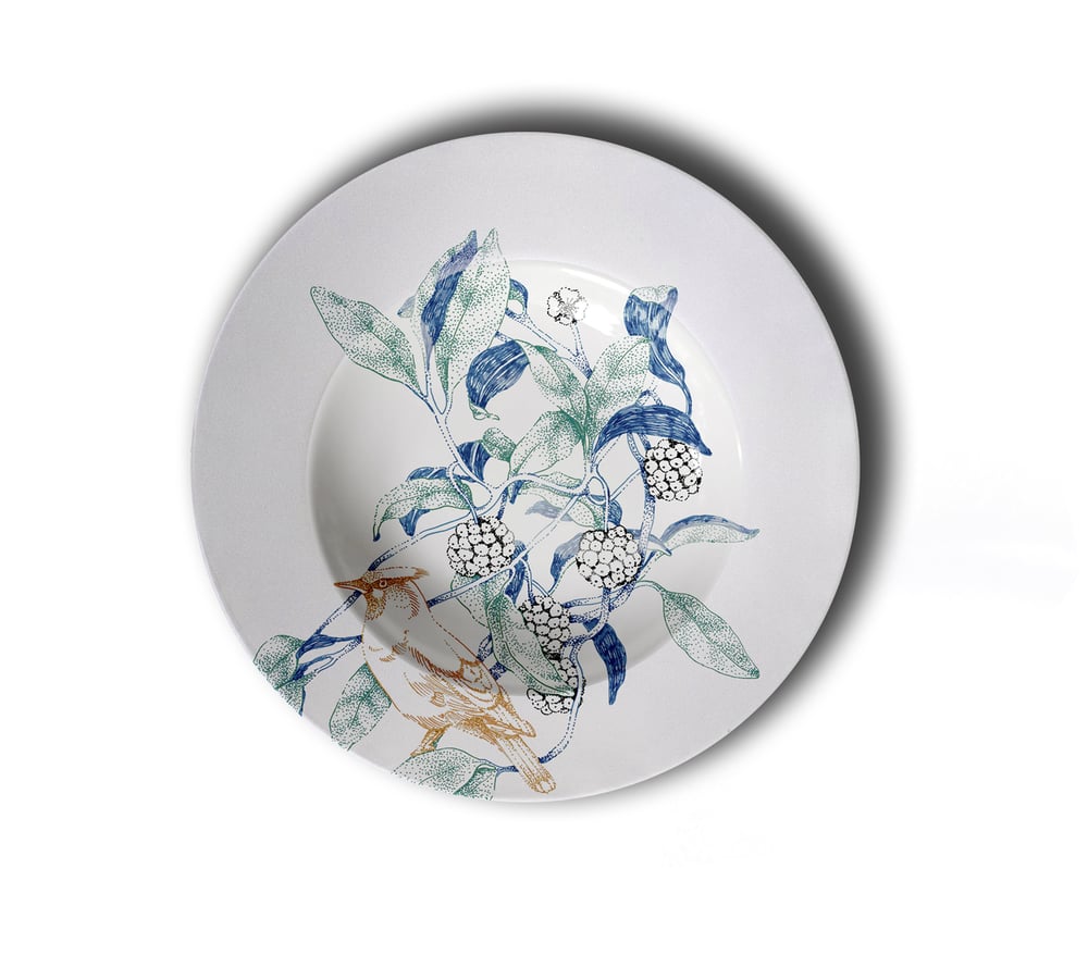 Image of Birds Song Pasta Plate B