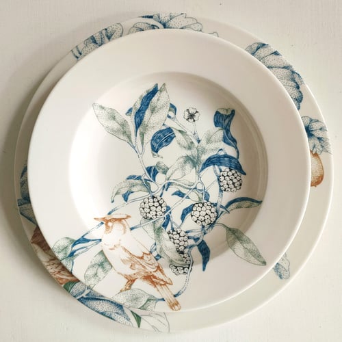 Image of Birds Song Pasta Plate B
