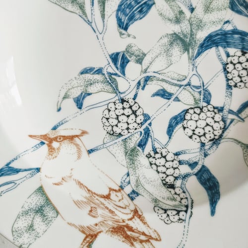 Image of Birds Song Pasta Plate B