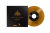 I Believe In Halloween 7" Vinyl 