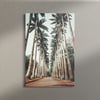 Royal Palm Trees Canvas