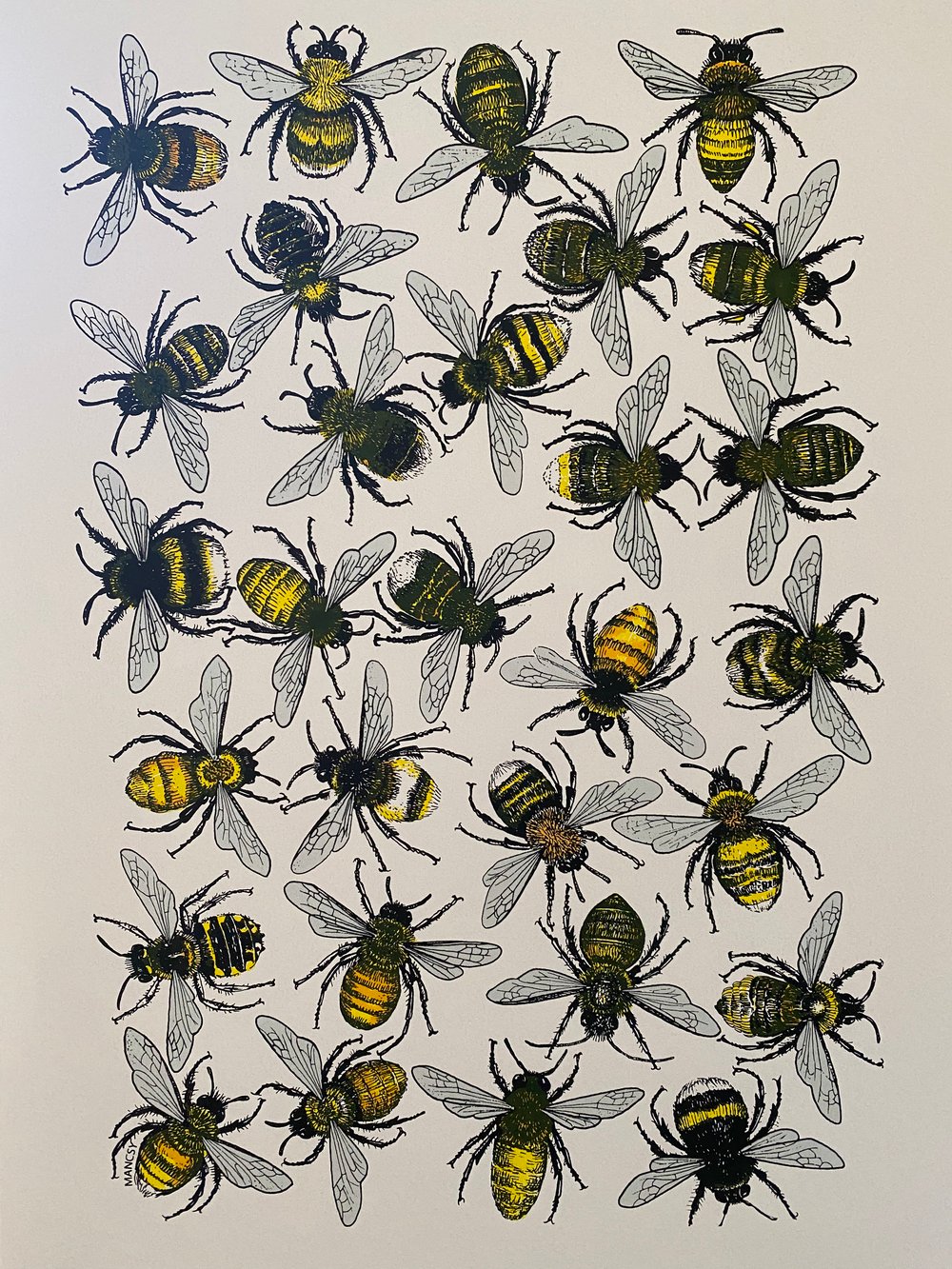 Image of A3 Bee original screen print