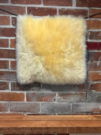 Image 3 of Sheepskin CREAM Wool Leather Shearling Pieces in Rectangle Natural Shapes